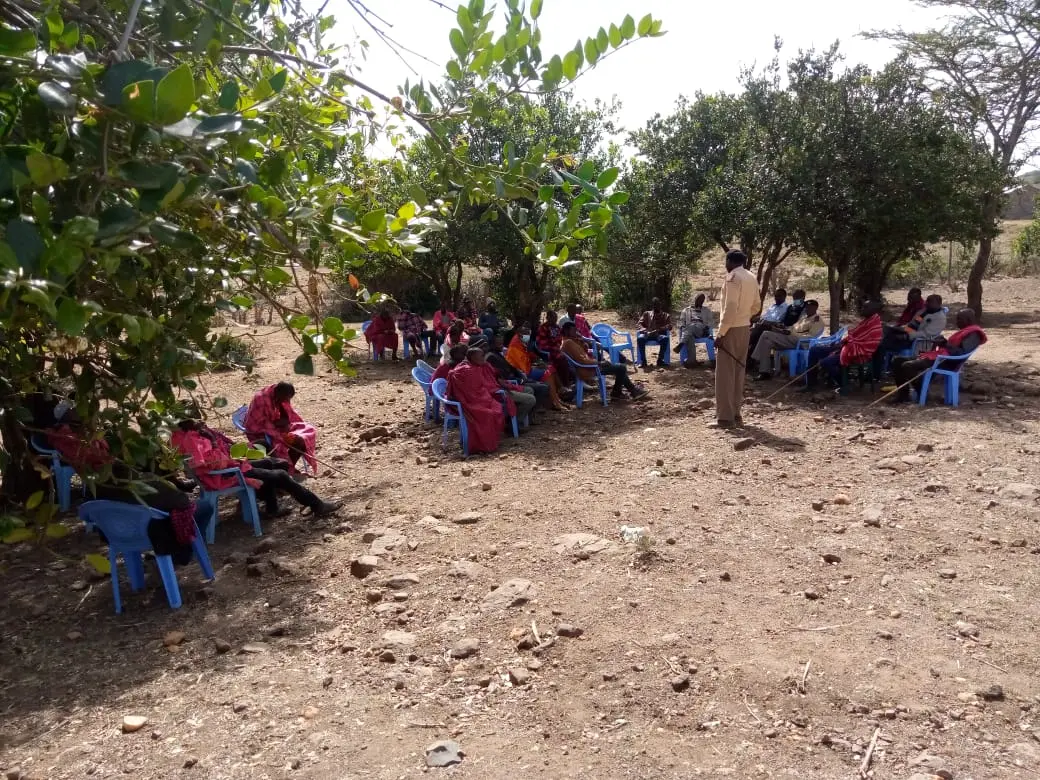 Community dialogue under the trees